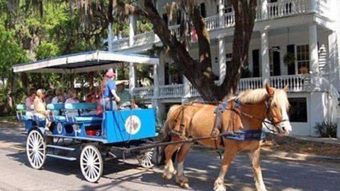 Girlfriends' Trip to Beaufort. carriage ride