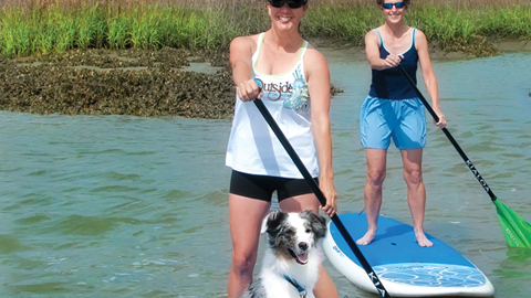 Subboarding Standup paddleboarding (SUP) is an offshoot of surfing that o