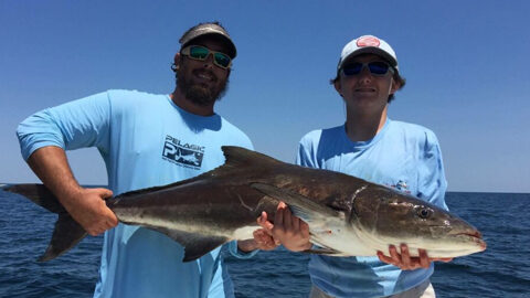 cobia caught by a fisherman and young man