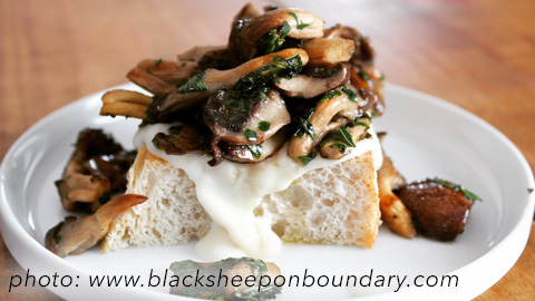Blacksheep Restaurant. grilled mushrooms on bread