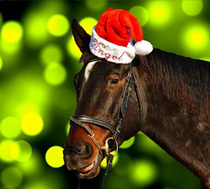 Holiday Events in Beaufort. a brown horse with a santa hat
